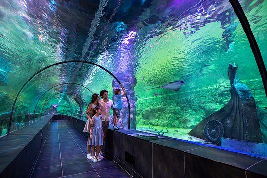 ViaSea Temapark